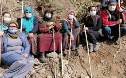 Üç yıllık mücadele zafer getirdi! Mahkeme Cengiz’e ‘dur’ dedi