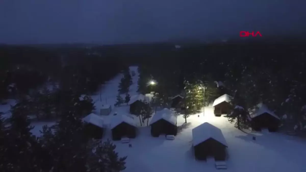 Türkiye Ormanlarından Yıllık 44 Milyon Ton Oksijen